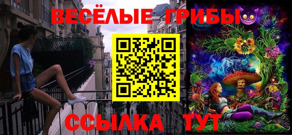 Галлюциногенные грибы ЛСД Магадан